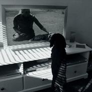 Cocker spaniel Victor