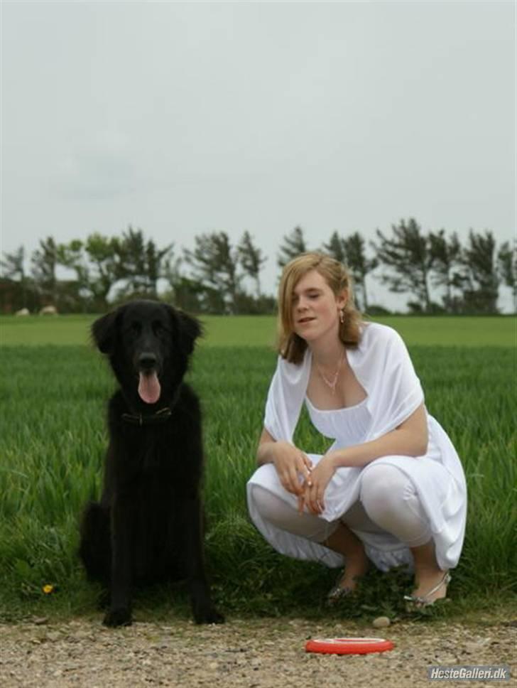 Blanding af racer BASSE - Aflivet d. 19 - 5 - 2009 * Rest in Peace* - Mig og Min bedste ven (´: R.I.P  JEG SAVNER DIG VIRKELIG! :o billede 2