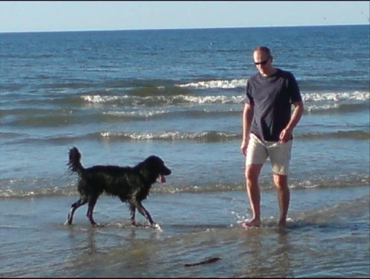 Blanding af racer BASSE - Aflivet d. 19 - 5 - 2009 * Rest in Peace* - R.I.P Basse :´/ billede 15