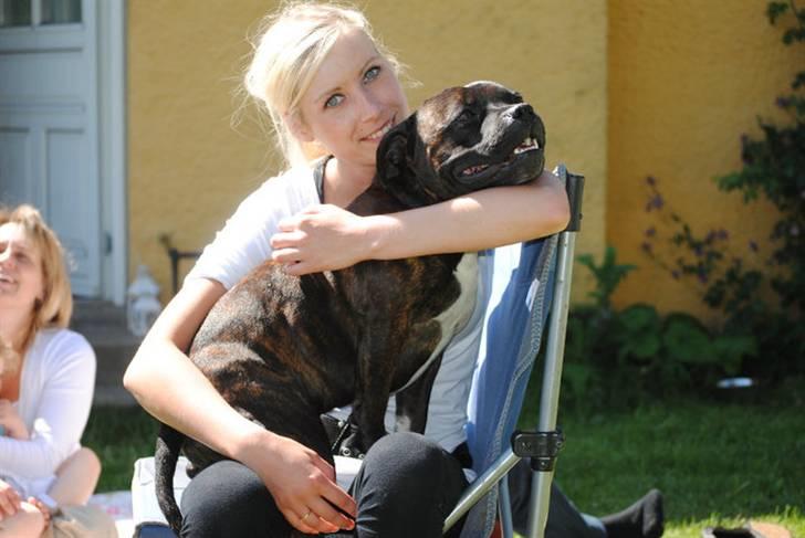 Staffordshire bull terrier **Angelic Staff ENZO** - Enzo´Far og mor ...;-) billede 2