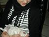 Coton de tulear Solsikkens coton Windi