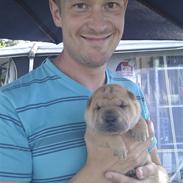 Shar pei Silya R.I.P