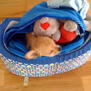 Blanding af racer Gabriel