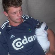 Fransk bulldog Dolly