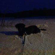 Blanding af racer Max