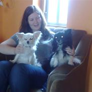 Blanding af racer Oliver