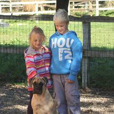 Bullmastiff Bullsaints`D The Name Of  R.I.P