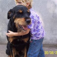 Blanding af racer Zippo