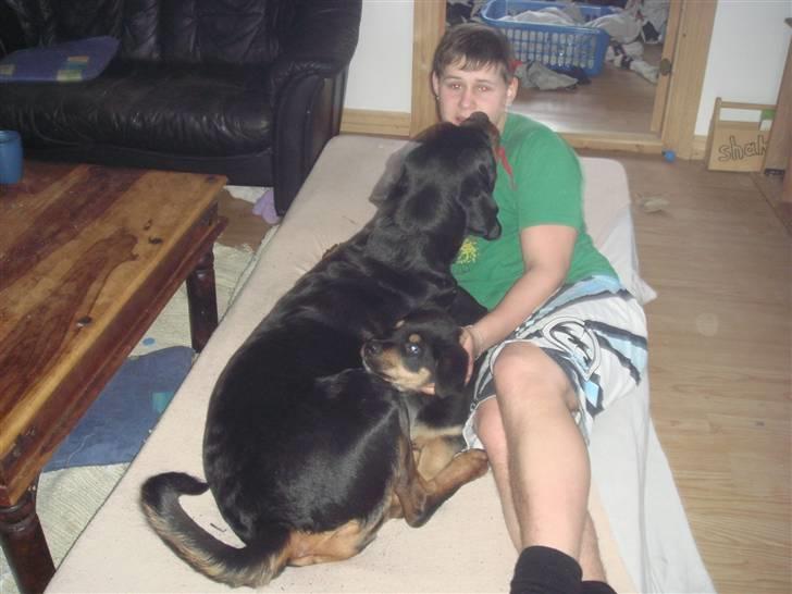 Rottweiler mille R.I.P - mille og hendes barne barn  billede 18