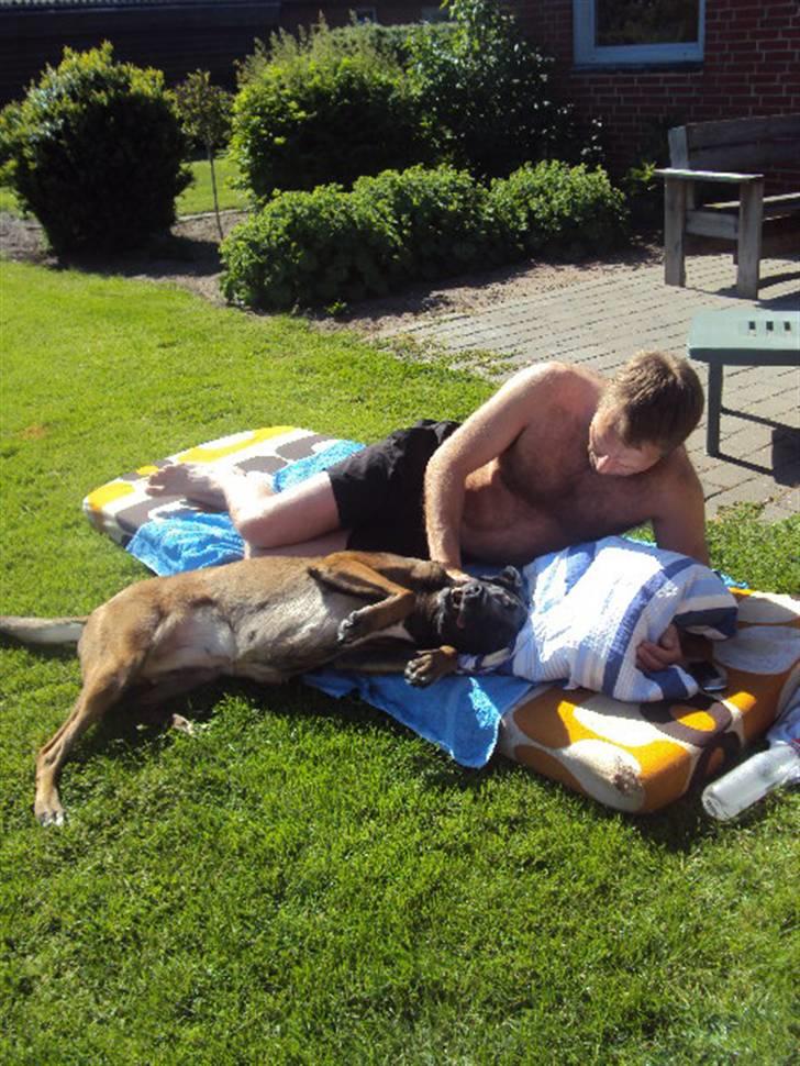 Malinois »' [Mira]  - putter hos vatti :-D billede 19