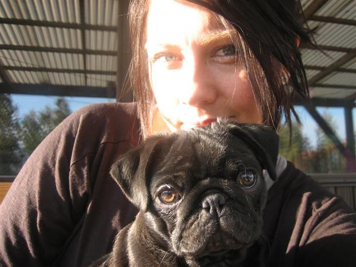 Mops Champ - Mig og mor billede 9