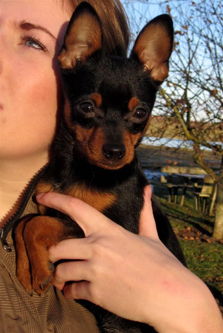 Blanding af racer Victor Zumbusch billede 1