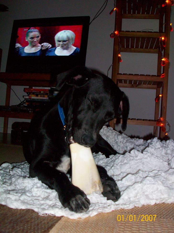 Blanding af racer Messi billede 2