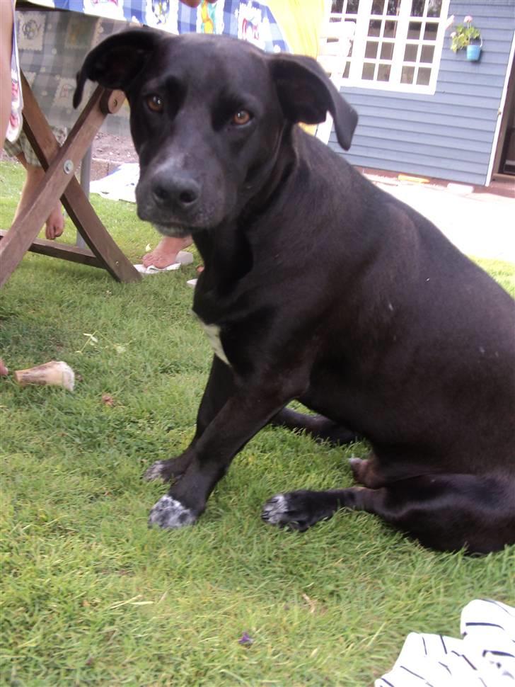 Blanding af racer Messi billede 4