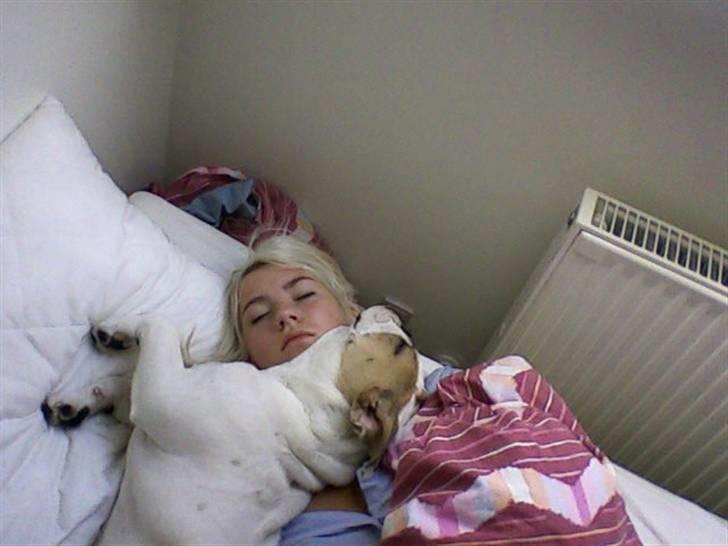 Blanding af racer Luna billede 15