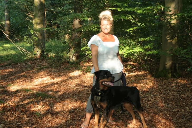 Rottweiler Febæks Zorro R.I.P - 11. juli 2010 billede 2