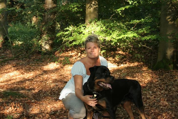 Rottweiler Febæks Zorro R.I.P - 11. juli 2010 billede 3