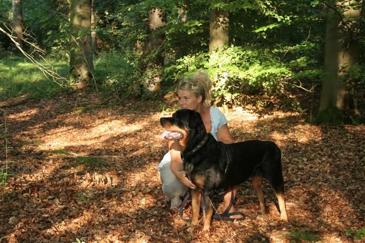 Rottweiler Febæks Zorro R.I.P - 11. juli 2010 billede 4