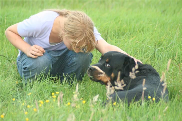 Rottweiler Febæks Zorro R.I.P - Melissa & Samson juni 2009 billede 12