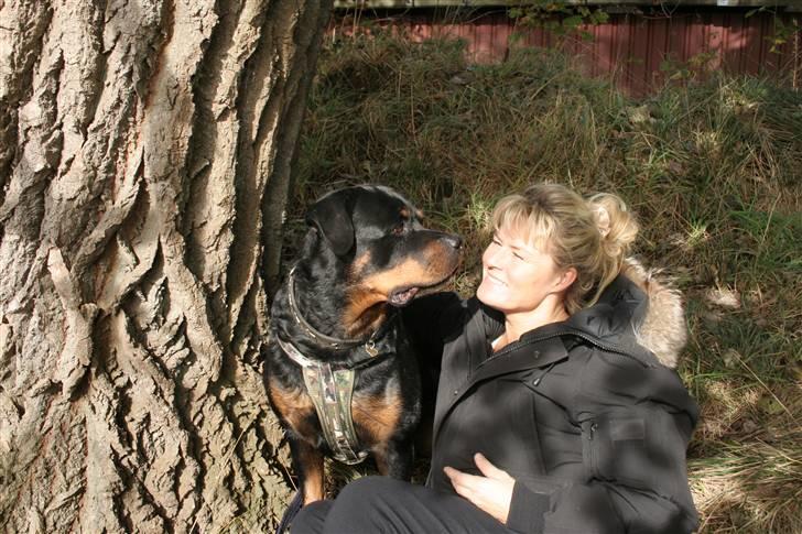 Rottweiler Febæks Zorro R.I.P - Samson & mig okt.2009 billede 18