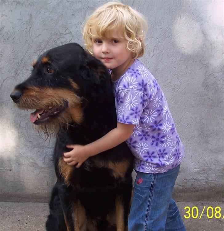 Blanding af racer Zippo billede 5