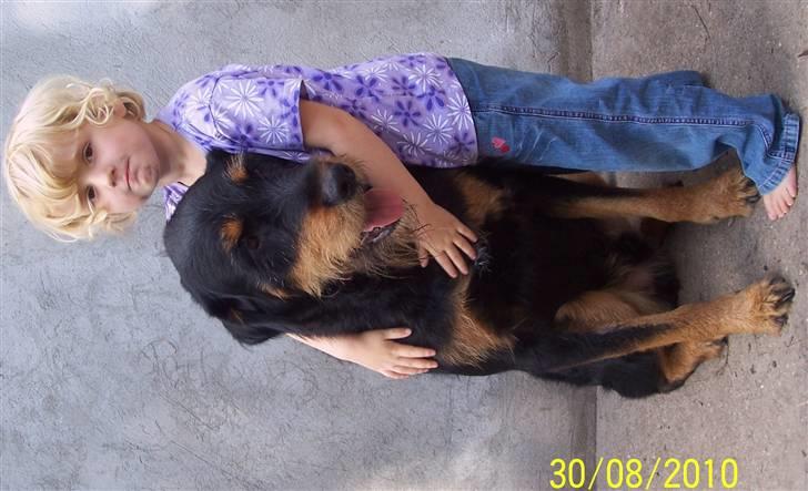 Blanding af racer Zippo billede 6