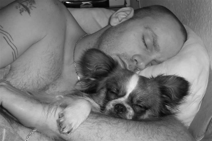 Blanding af racer Max - Dette er mors ynglingsbillede med mig og far, hun er så glad for den at hun nu har fået den forstørret og indrammet og så hænger den over sengen, så hun kan se på den inden hun går i seng og igen når hun vågner billede 19