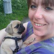 Blanding af racer Frank