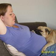 Blanding af racer Frank