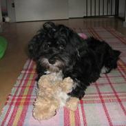 Blanding af racer Herman O'Malley Kempel