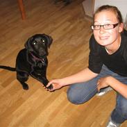 Blanding af racer bessie R.I.P