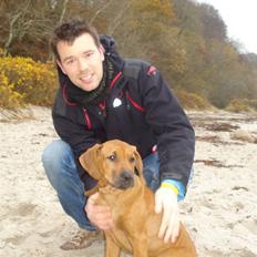 Rhodesian ridgeback Zulu