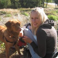 Nova scotia duck tolling retriever Malou (Himmelhund R.I.P)