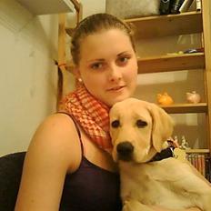 Labrador retriever Siska 