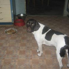 Blanding af racer kira