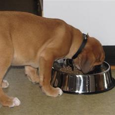 Blanding af racer Bailey