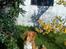 Nova scotia duck tolling retriever Leica - på besøg hos bedstemor og bedstefar, i 2010.