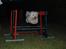 Coton de tulear Anton