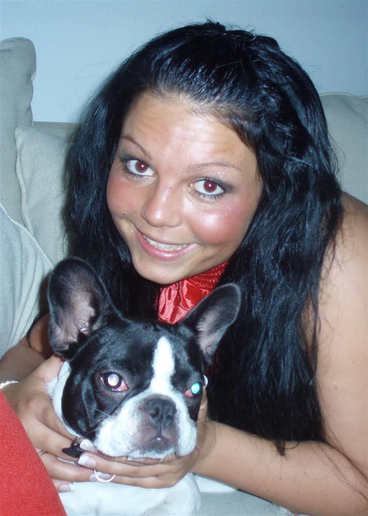 Fransk bulldog Bibbii billede 14