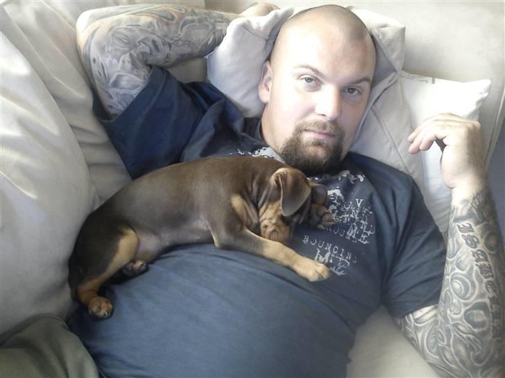 Blanding af racer Choko - Choko og far hygger billede 3