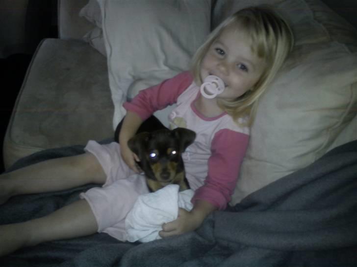 Blanding af racer Choko billede 9