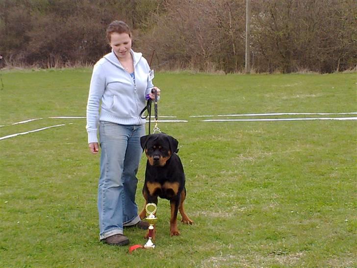 Rottweiler Von hause Nomis Inez - FEDE og Julie på udstilling i Odense, EXL 1 2. bedste tæve. billede 15