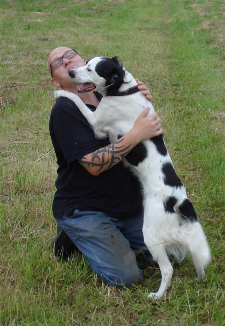 Blanding af racer Chips - Chips sammen med min mand. Juli 2010. billede 16