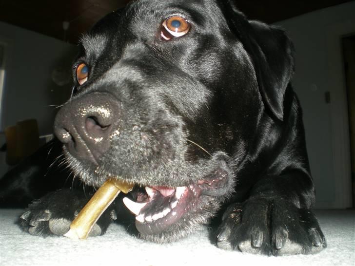 Blanding af racer Batman <3 billede 2