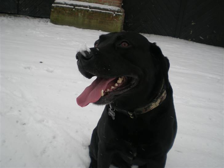 Blanding af racer Batman <3 billede 3