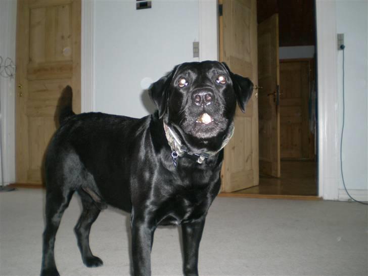 Blanding af racer Batman <3 billede 4