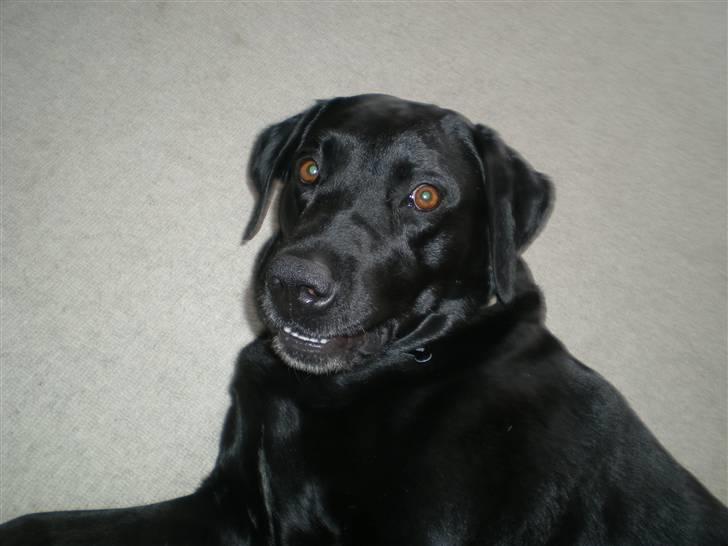 Blanding af racer Batman <3 billede 7