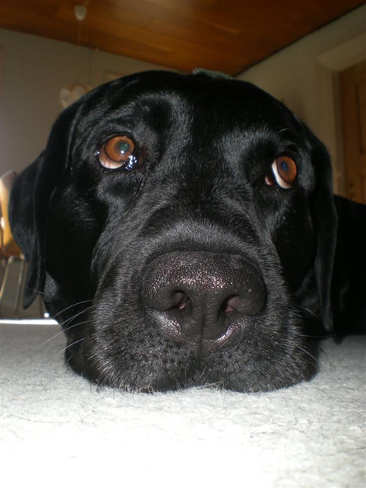 Blanding af racer Batman <3 billede 8