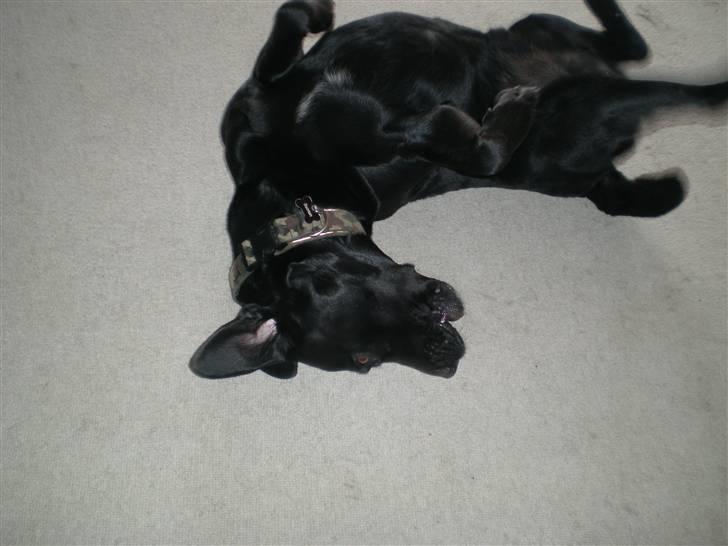 Blanding af racer Batman <3 billede 9