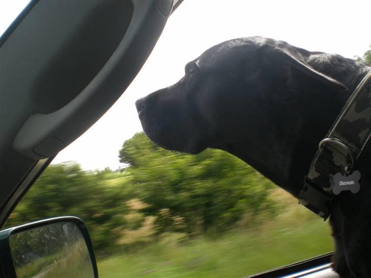 Blanding af racer Batman <3 billede 11